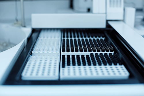 微型計算機硬件系統中最常用的輸出設備